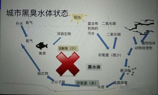 江蘇億元投資治污新技術(shù) 石墨烯能否治理黑臭水體？