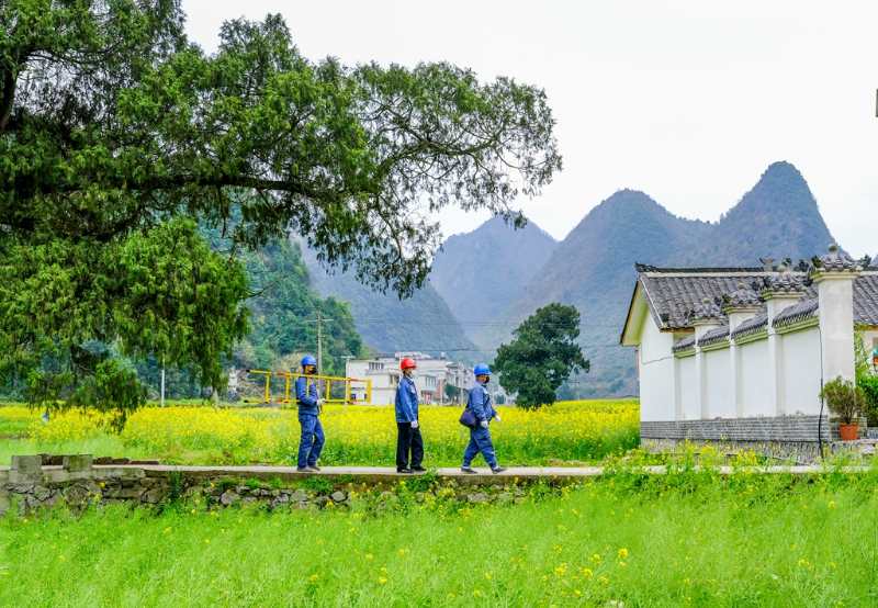 平塘供電局：“網(wǎng)格化”服務(wù)，護航“菜籃子”