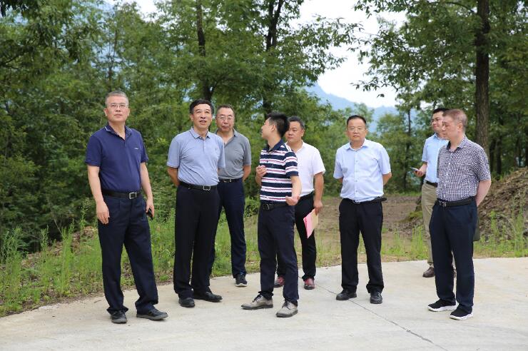 中國能建總經(jīng)理、黨委副書記孫洪水一行赴陜西鎮(zhèn)巴縣調(diào)研定點扶貧工作