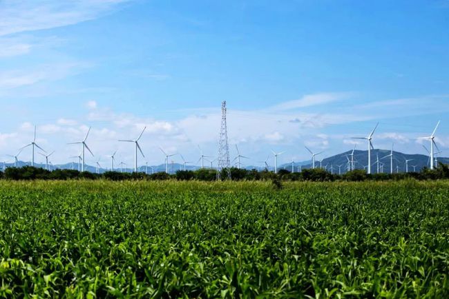 收購墨西哥818MW光伏電站，國家電投境外光伏電站裝機(jī)超6GW