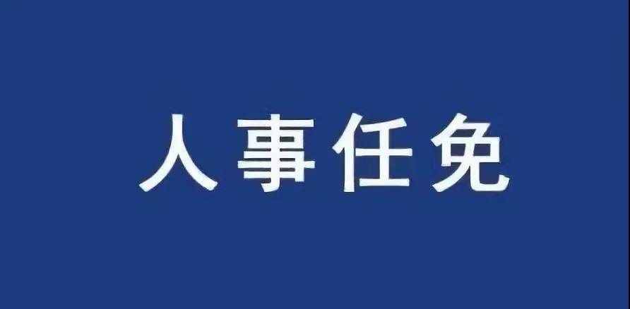 重磅！張智剛任國家電網(wǎng)總經(jīng)理、黨組副書記，韓君出任三峽集團總經(jīng)理