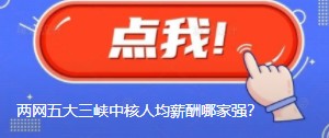 國網(wǎng)南網(wǎng)華能大唐國家能源三峽中核人均薪酬哪家強(qiáng)？