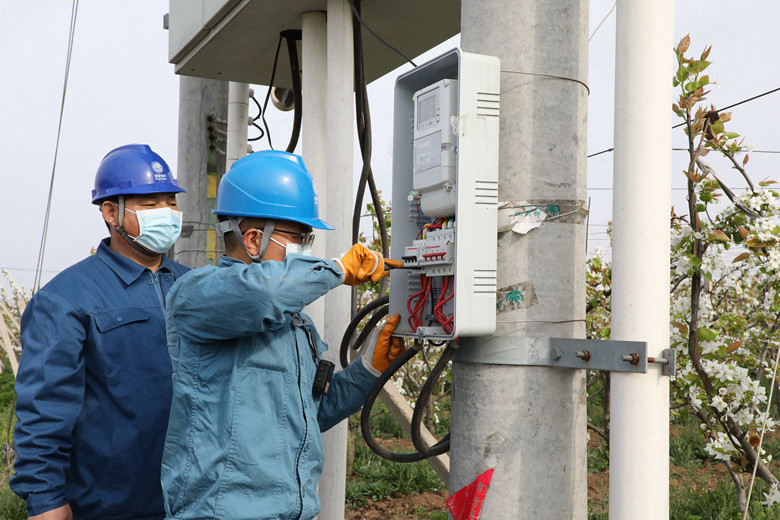 國網(wǎng)諸城市供電公司電力足，千畝梨園花正濃