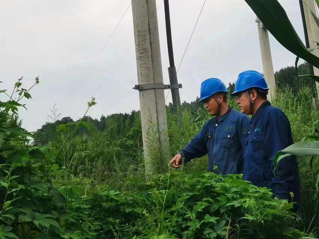 國網(wǎng)長春供電公司積極應對極端天氣，確保線路設備穩(wěn)定運行